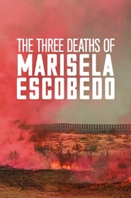 The Three Deaths of Marisela Escobedo